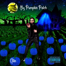 My Pumpkin Patch