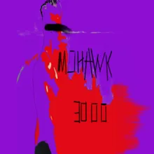 Mohawk 3000