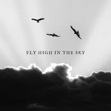 Fly High In The Sky