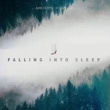 Falling Into Sleep