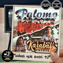 Sabia Que Eras Tú (feat. Lencho Van)