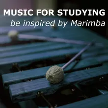 Study progress Marimba Version