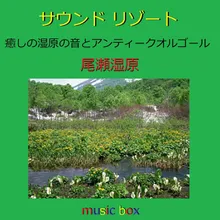 Hitomi Wo Tojite (Oze National Park and Music Box)