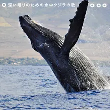 穏やかな水中アンビエンス