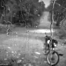 你还怕大雨吗