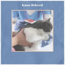 Know Beloved