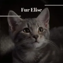 Fur Elise