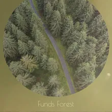 Funds Forest