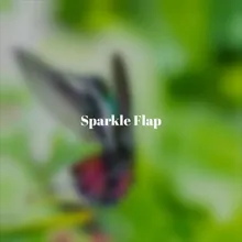 Sparkle Flap