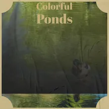 Colorful Ponds