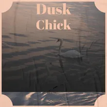 Dusk Chick