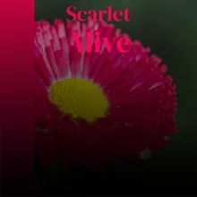 Scarlet Alive
