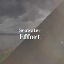 Seawater Effort