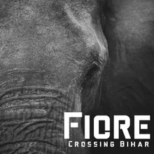 Crossing Bihar Cut Version