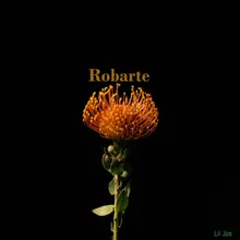 Robarte