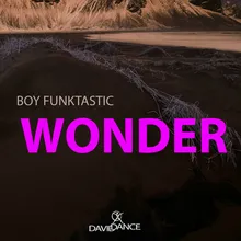 Wonder Original mix