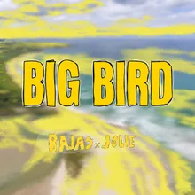 Big Bird 2023