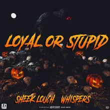 Loyal or Stupid