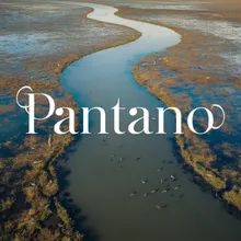 Pantano