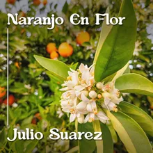 Naranjo en Flor