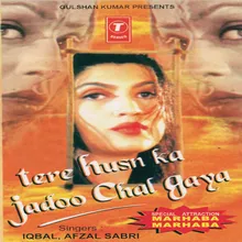 Tere Husn Ka Jaadu Chal Gaya