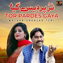 Tor Pardes Gaya