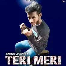 Teri Meri