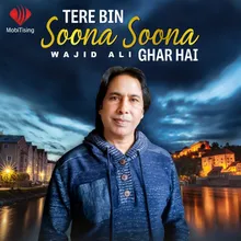 Tere Bin Soona Soona Ghar Hai