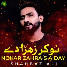 Nokar Zahra S A Day