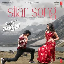 Sitar Song (From "Mr. Bachchan")