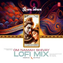 Om Namah Shivay Lofi Mix(Remix By Kedrock,Sd Style)