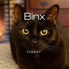 Binx