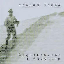 Vísur Fiðlu-Bjarnar