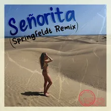 Senorita Springfeldt Remix