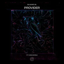 Provider