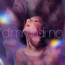 Dimmi Di No (Your Love)