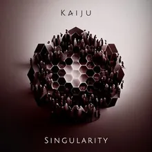 Singularity