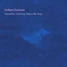 Kanatları Gümüş Yavru Bir Kuş