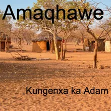 Kungenxa Ka Adam