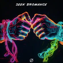 Seek Bromance