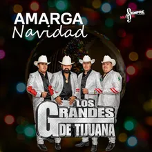 Amarga Navidad