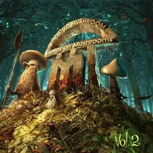 Savant on Mushrooms