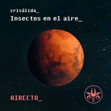 Insectos en el Aire - Airecto