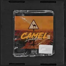 Camel (Show.Time)