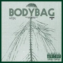 bodybag