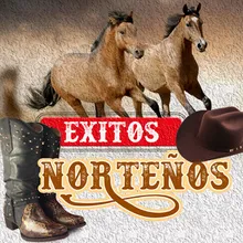 El Toro Viejo