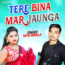 Tere Bina Mar Jaunga Hindi Romantic Song