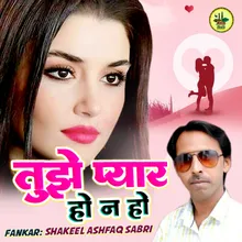 Tujhe Pyar Ho Na Ho Hindi Song