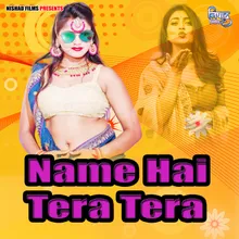 Name Hai Tera Tera