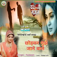 Chhodkar Mujhe Jane Wale (Hindi)